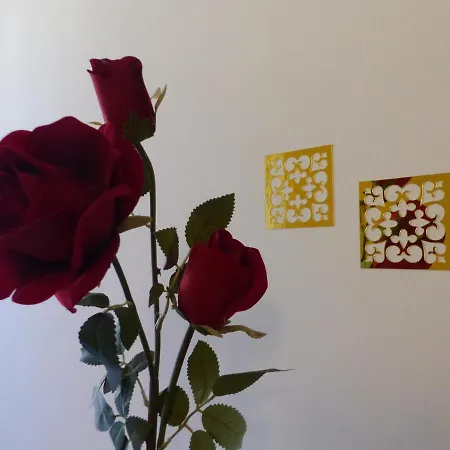 Casa Sogni D'oro דירה Caraglio