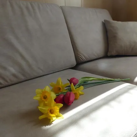 Casa Sogni D'oro Apartman *